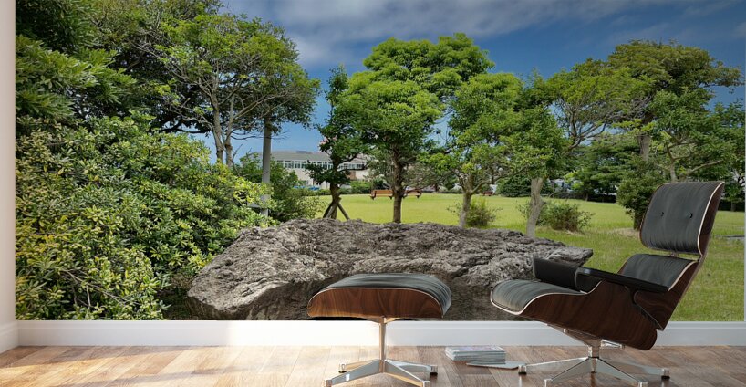The Big Rock Jeju South Korea Wall Murals