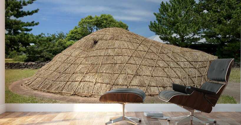 Traditional Village Hut Jeju South Korea 1 Wall Murals