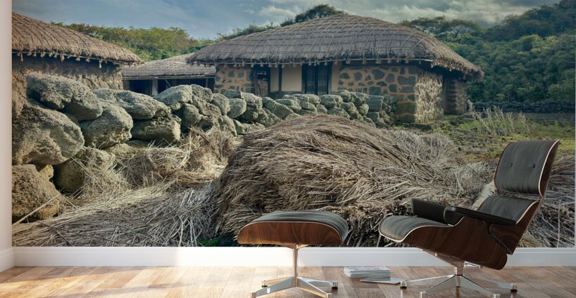 Stone Park Jeju South Korea 3 Wall Murals