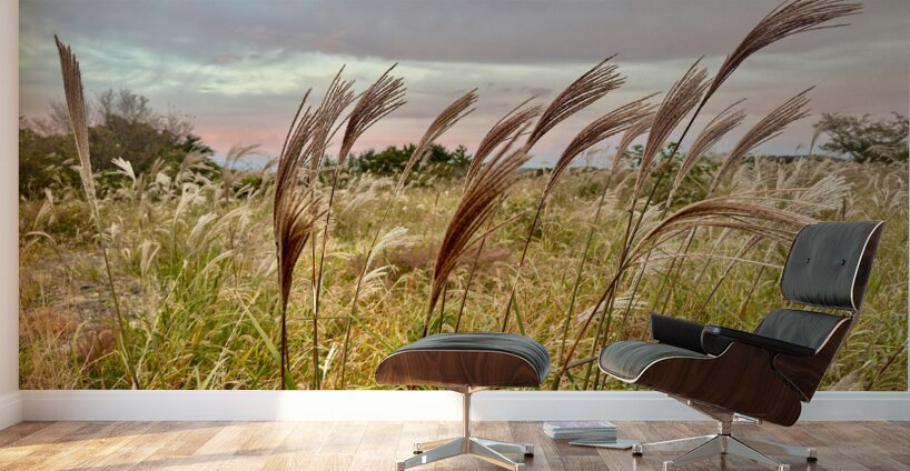 Stone Park Jeju South Korea 10 Wall Murals