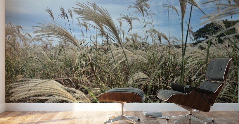 Stone Park Jeju South Korea 1 Wall Murals