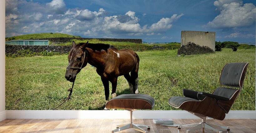 Seopjikoji Jeju South Korea 3 Wall Murals