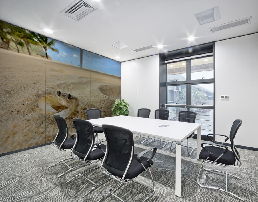 White Crab on the Beach Wall Printing