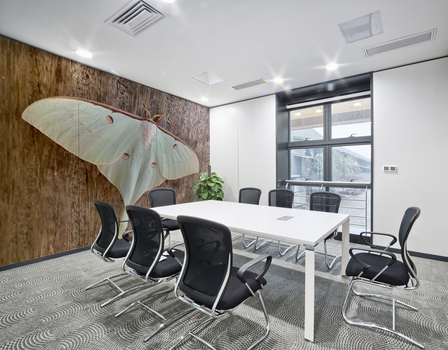 White Butterfly Wall Printing