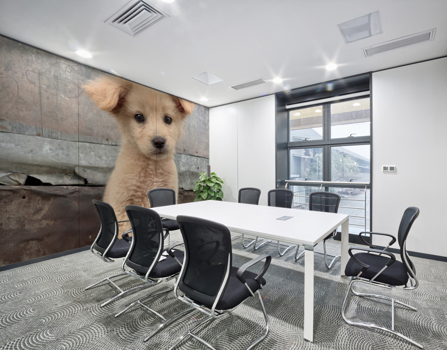 Cutest Puppy Ever Posing Wall Printing