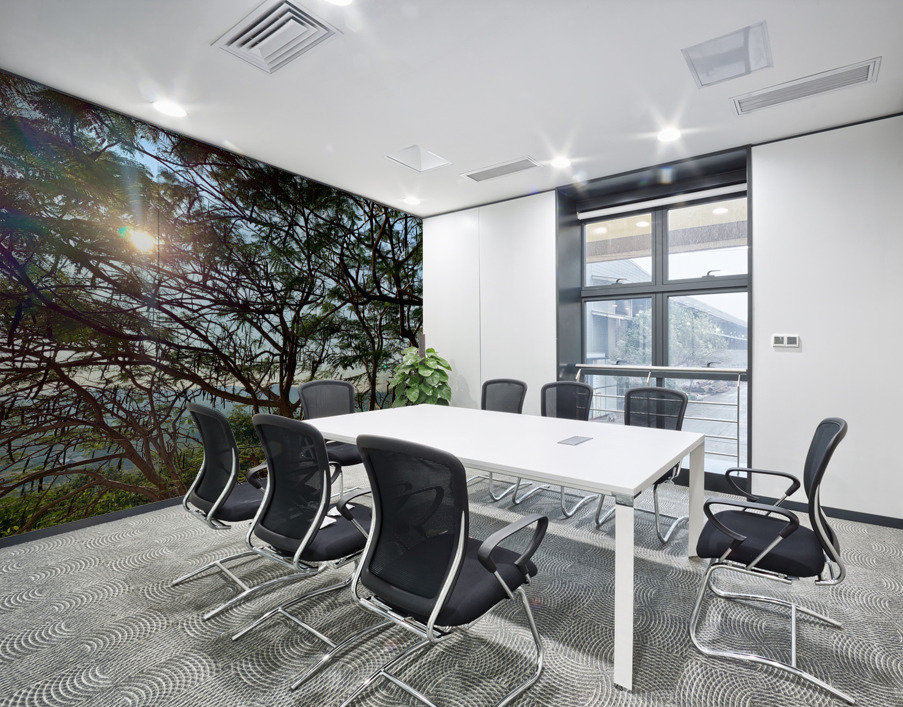 Sun Through the Tree Wall Printing