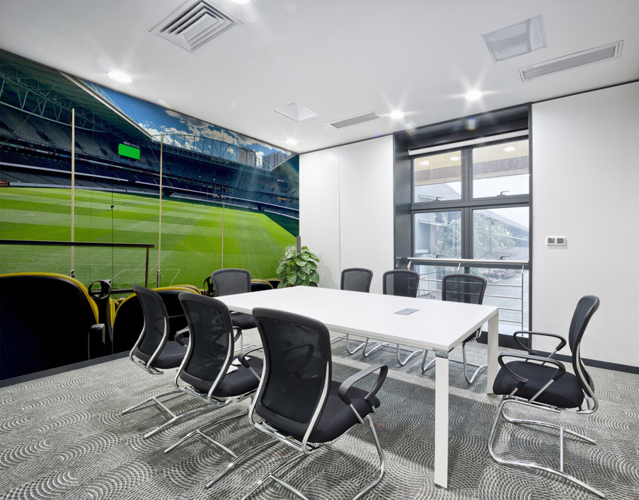 Australian Football Stadium Wall Printing
