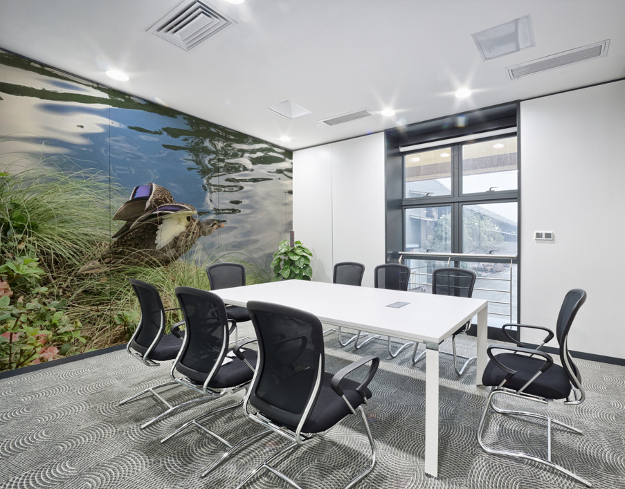 Duck Ready to Fly Wall Printing