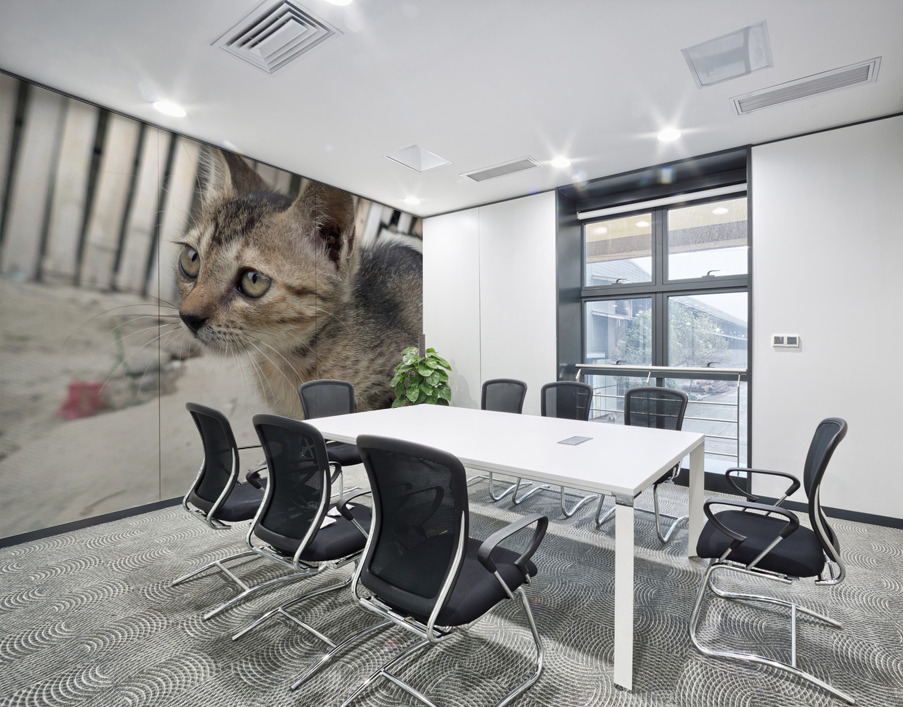 Cute Kitty Wall Printing