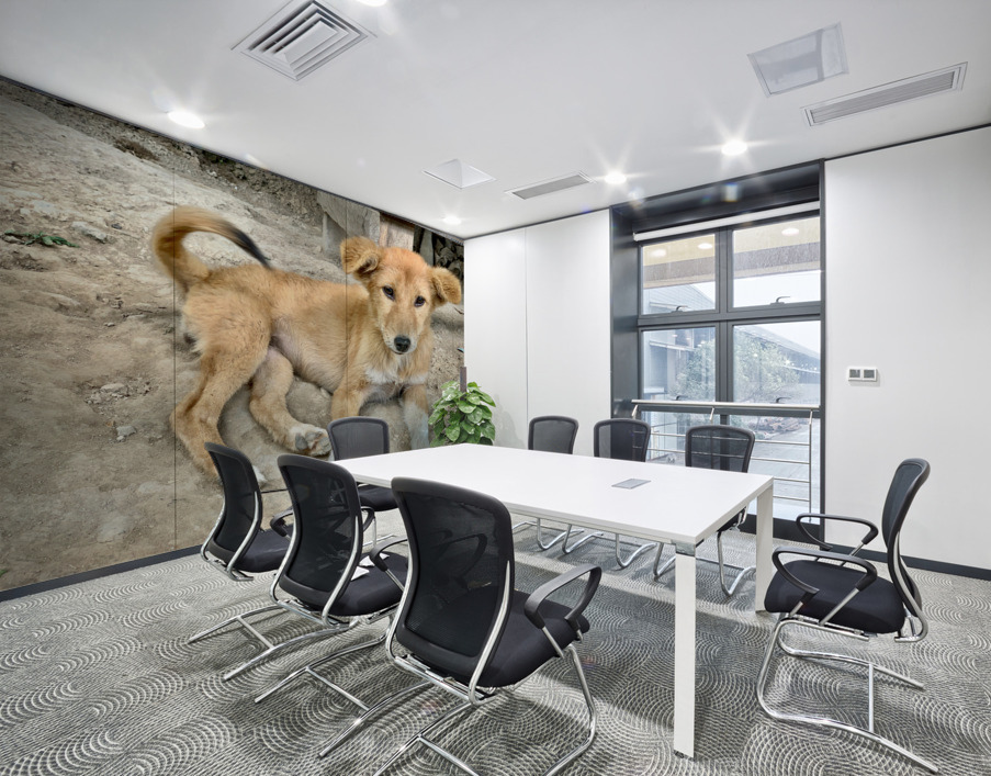 Cute Puppy Wall Printing