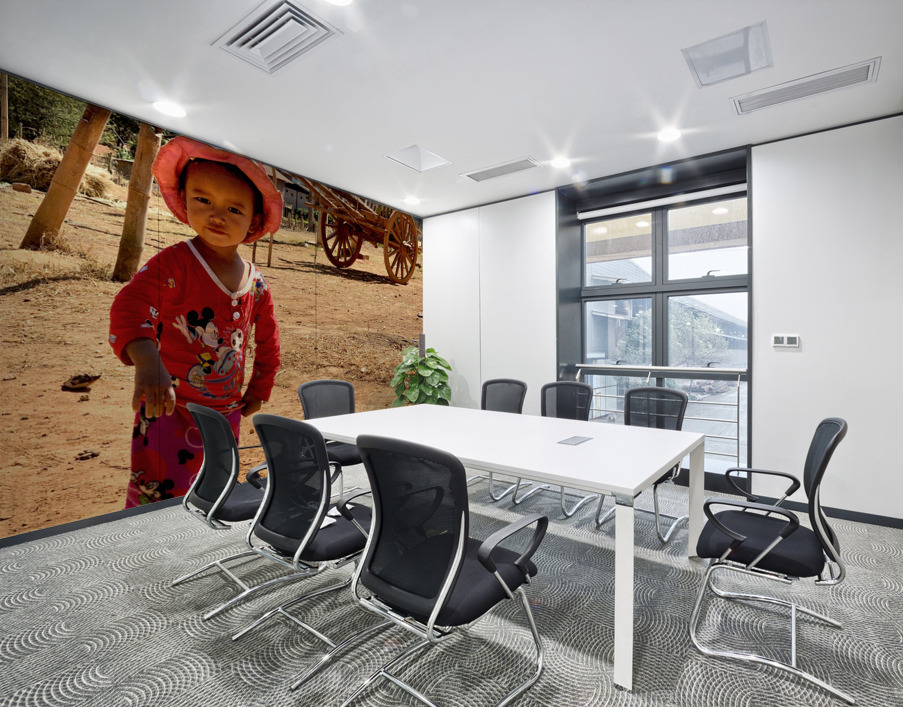 Little Girl on the Farm Wall Printing