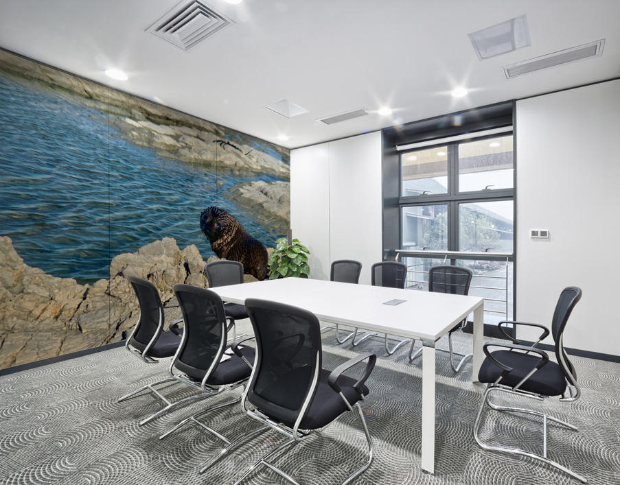 Seal Looking Back at You Wall Printing