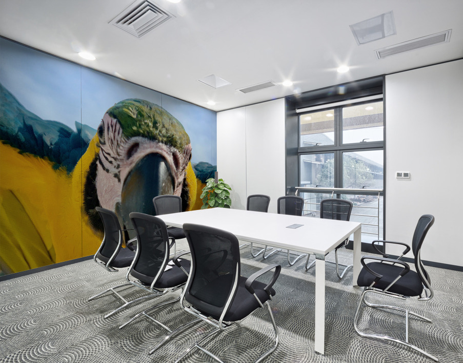 Macaws Close up Wall Printing