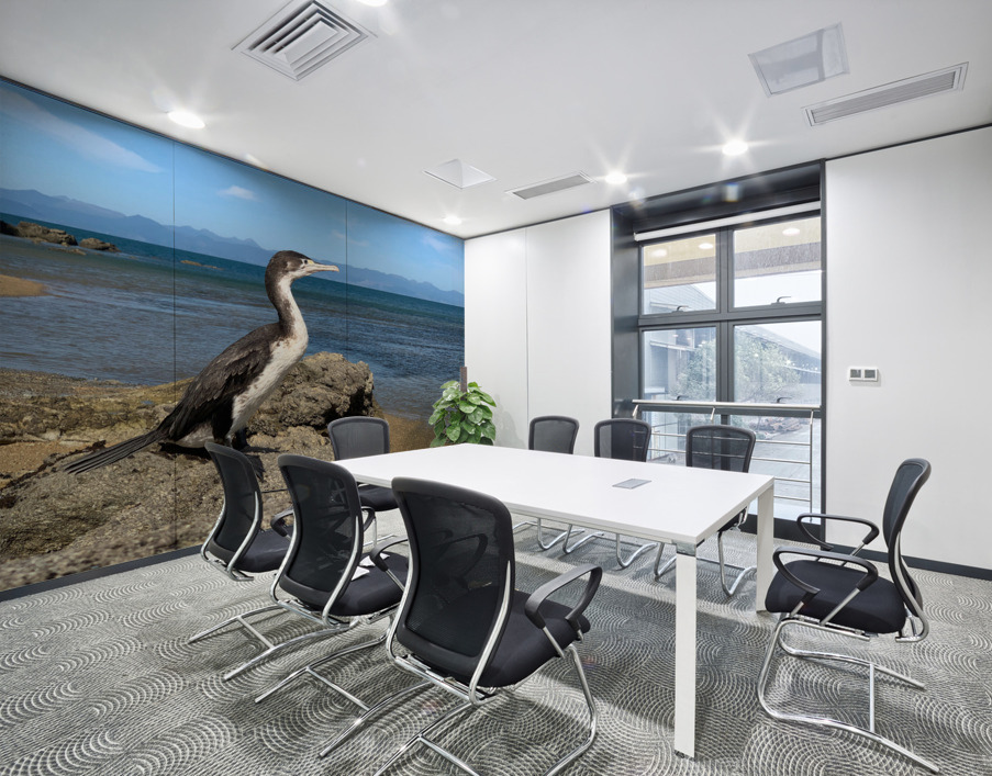 Bird Looking Straight Ahead Wall Printing