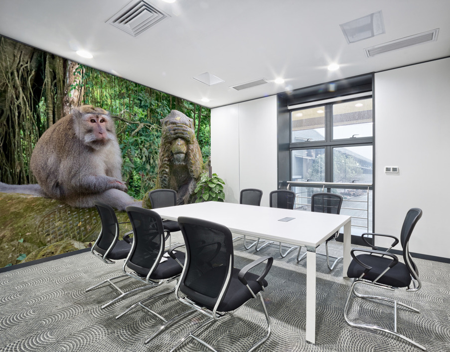 Are you for Real Monkey  Wall Printing