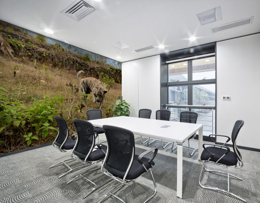 Dog in the Field Wall Printing