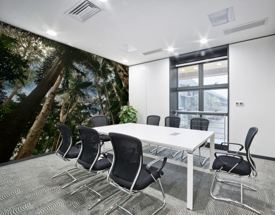 Look Up at the Trees Wall Printing