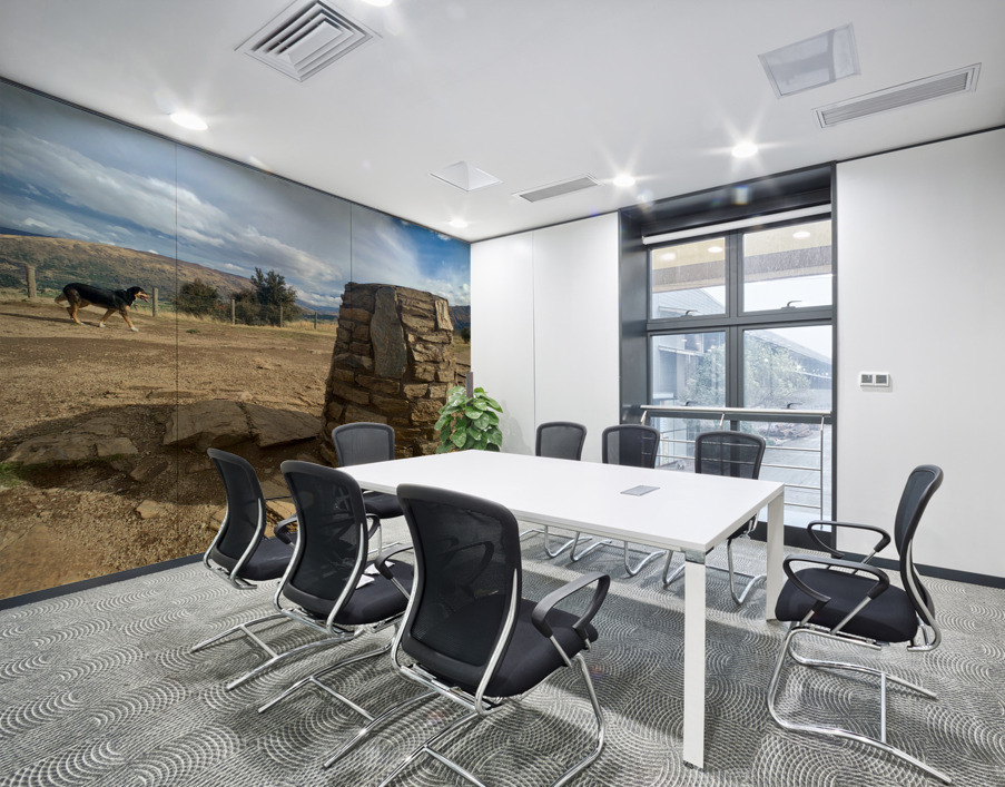 Dog on the Top of Mount Iron New Zealand Wall Printing