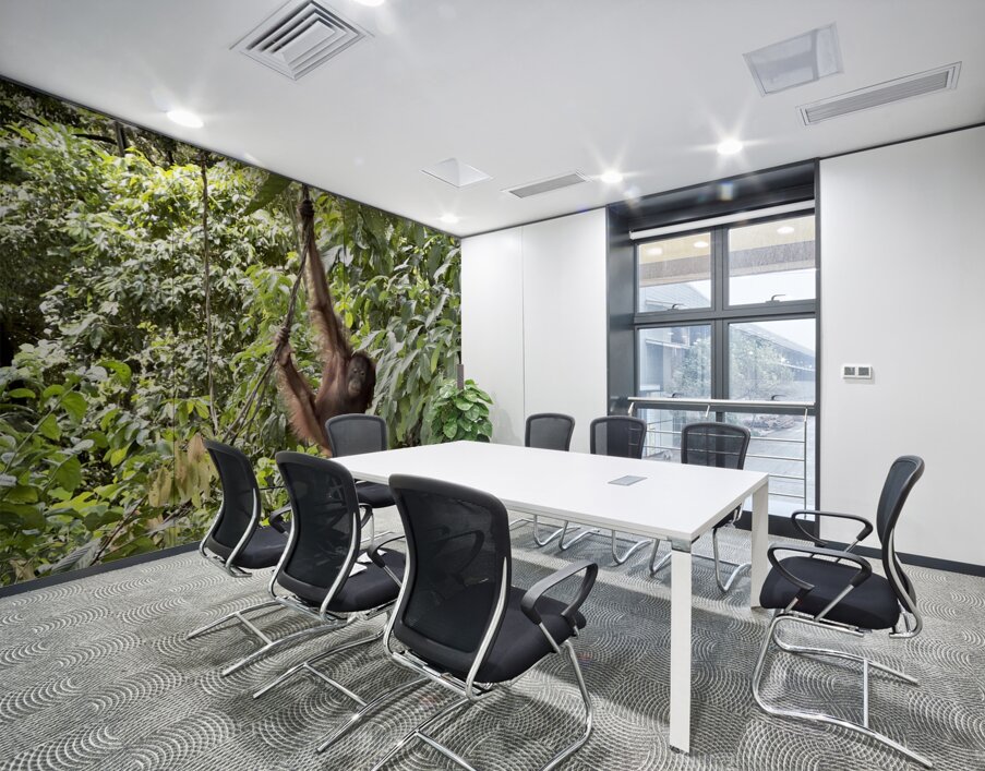 Kabili Sepilok Forest Reserve Orangutans 1 Wall Printing