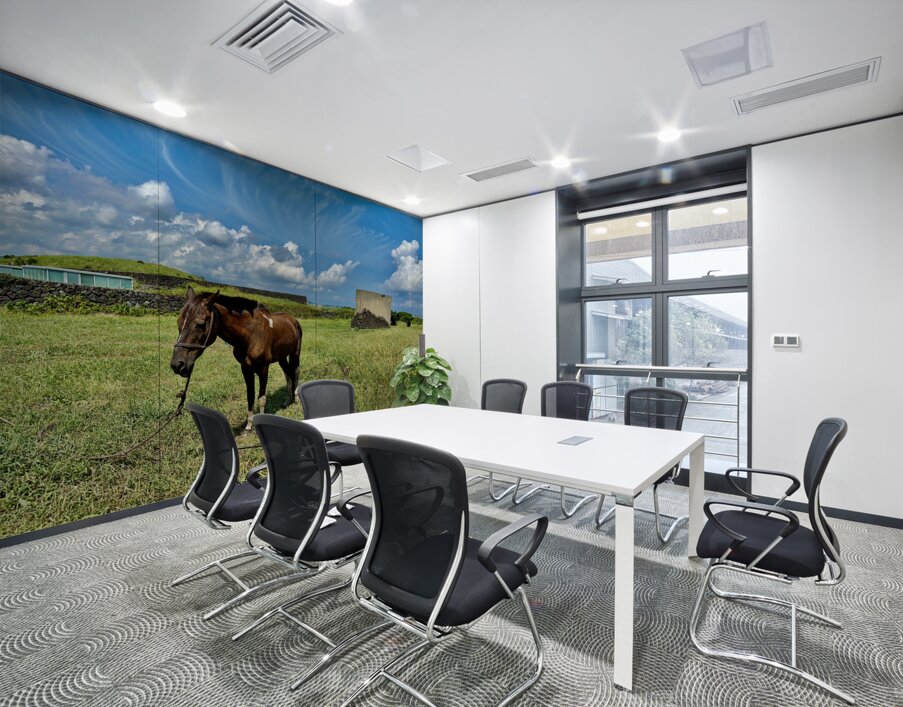 Seopjikoji Jeju South Korea 3 Wall Printing