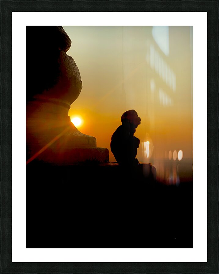 Enlightened Monkey at Sunset  Impression encadrée