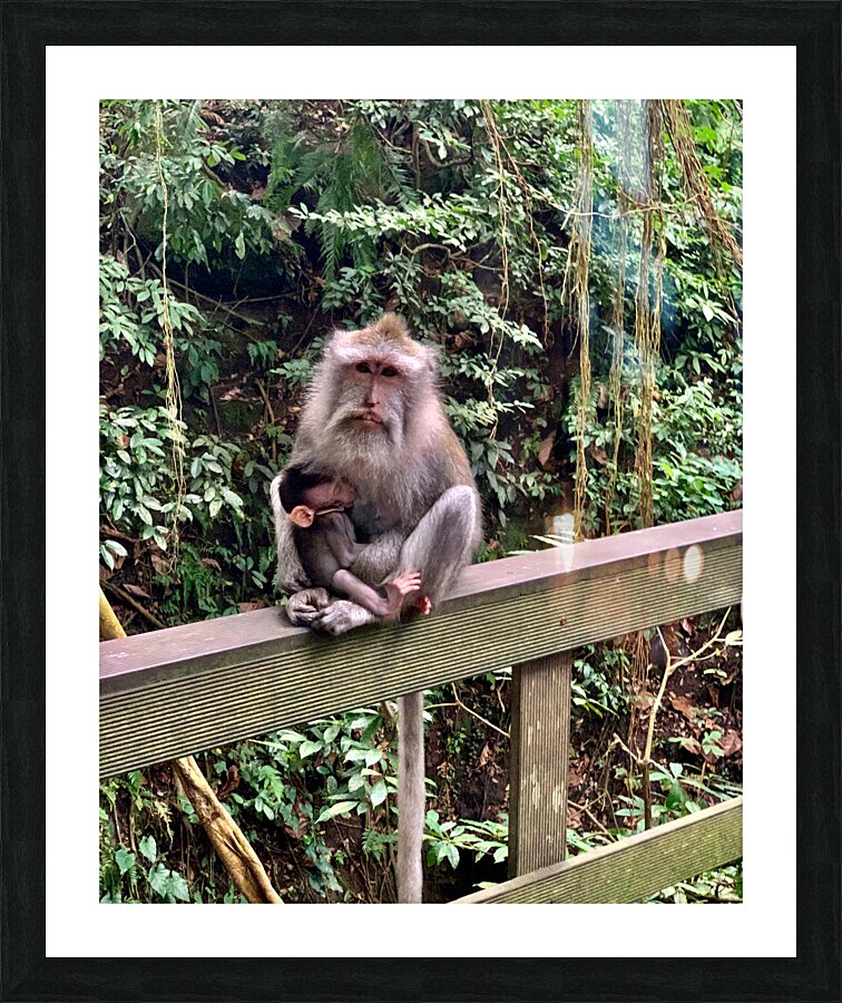 Mama Monkey Picture Frame print