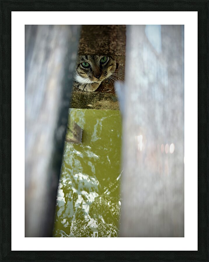 Kampong Ayer Floating Village Brunei 5 Picture Frame print