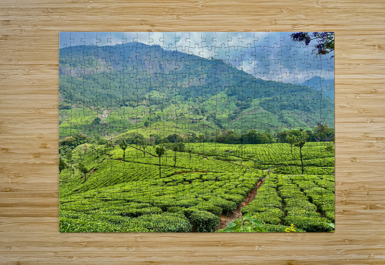 Tea Plantations 2 Jimmy Roy Photos Puzzle printing
