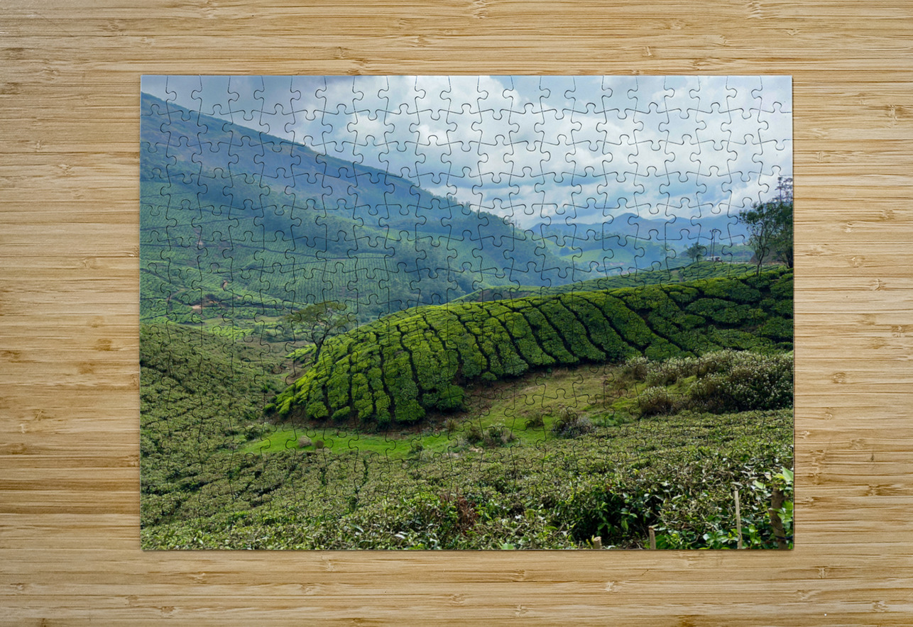 Tea Plantations 4 Jimmy Roy Photos Puzzle printing