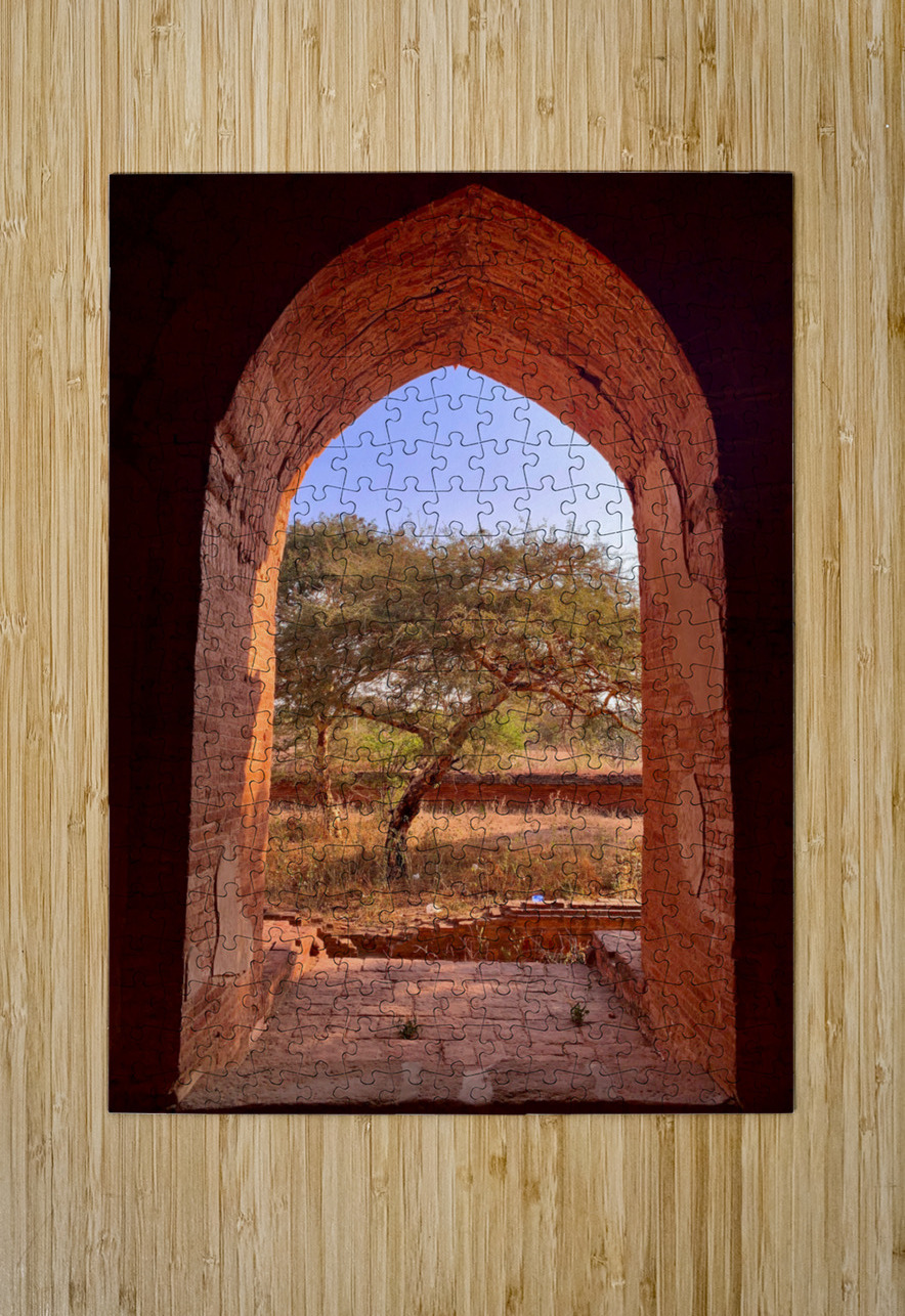 Tree by the window Jimmy Roy Photos Puzzle printing