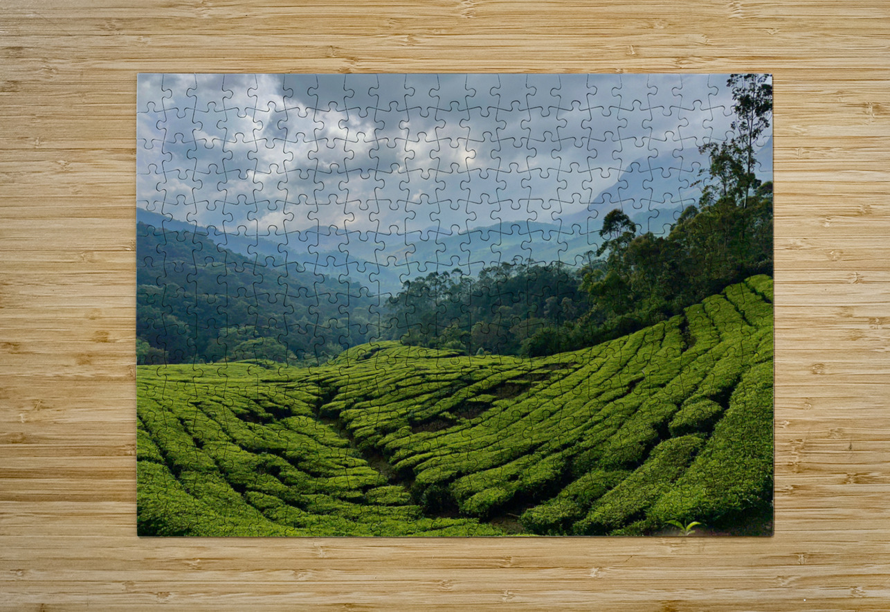 Tea Plantations 5 Jimmy Roy Photos Puzzle printing