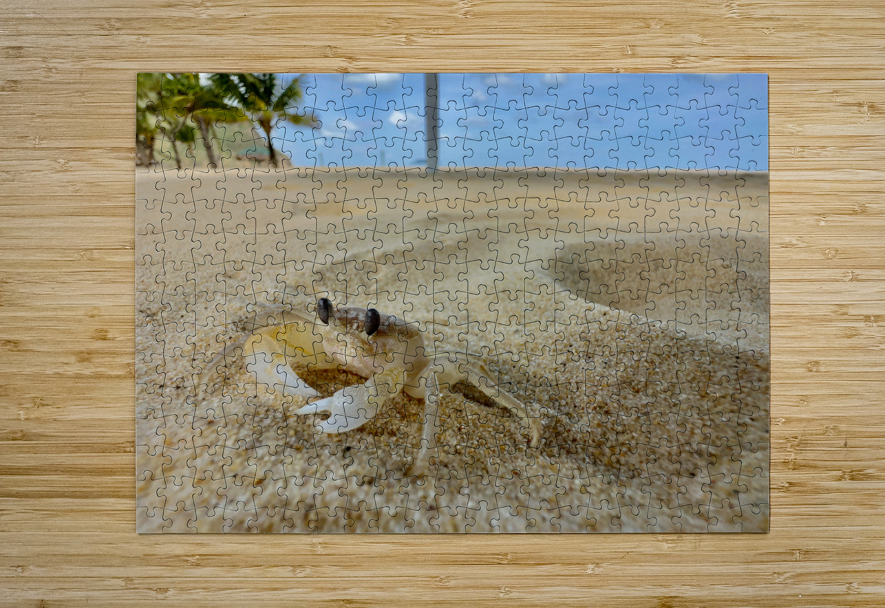 White Crab on the Beach Jimmy Roy Photos Puzzle printing