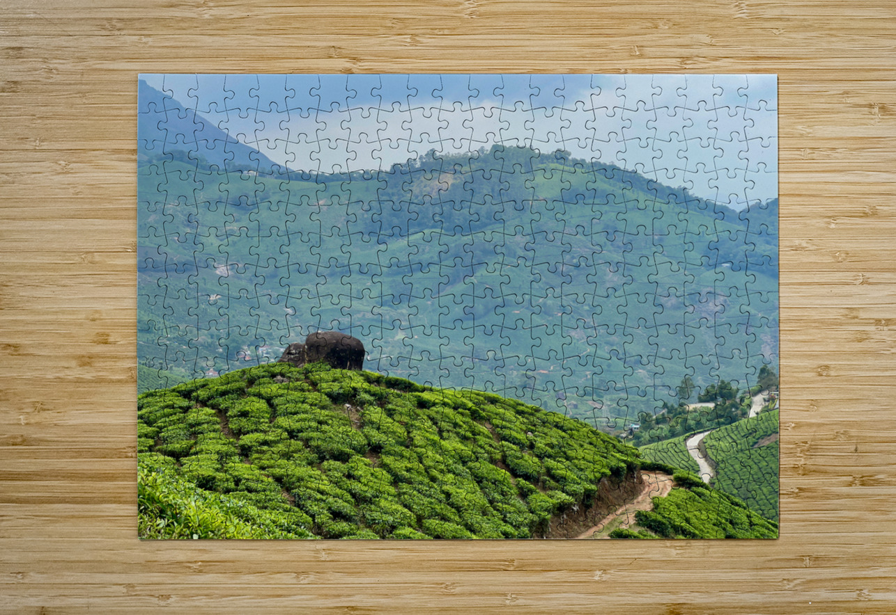 Rock on Top of Tea Jimmy Roy Photos Puzzle printing