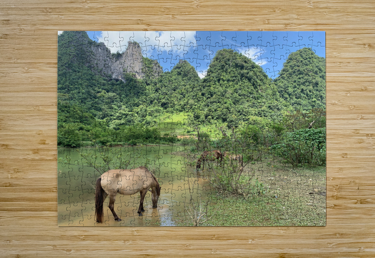 Horses in Paradise Jimmy Roy Photos Puzzle printing