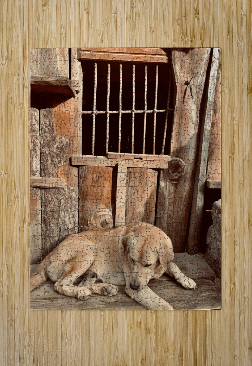 Doggy in Jail Jimmy Roy Photos Puzzle printing