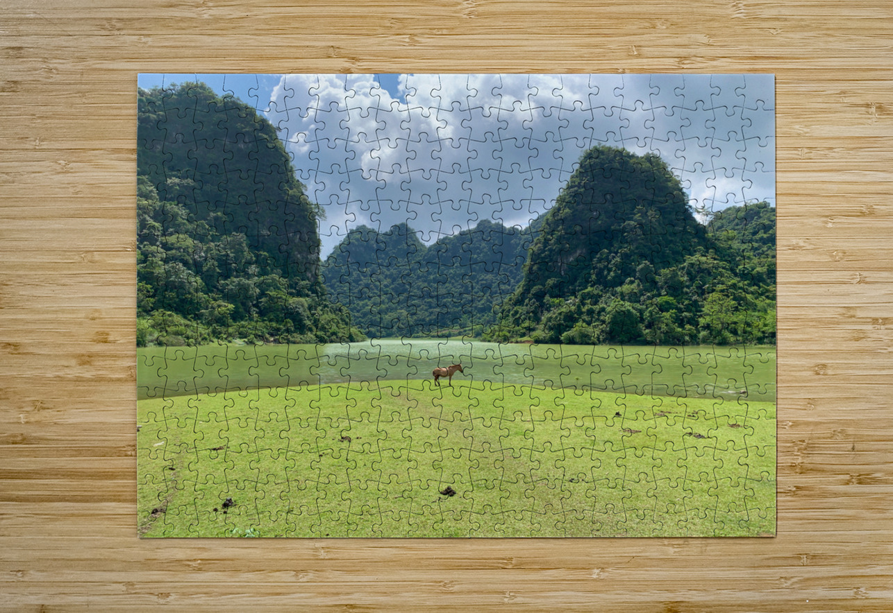 Lonely Horse Jimmy Roy Photos Puzzle printing