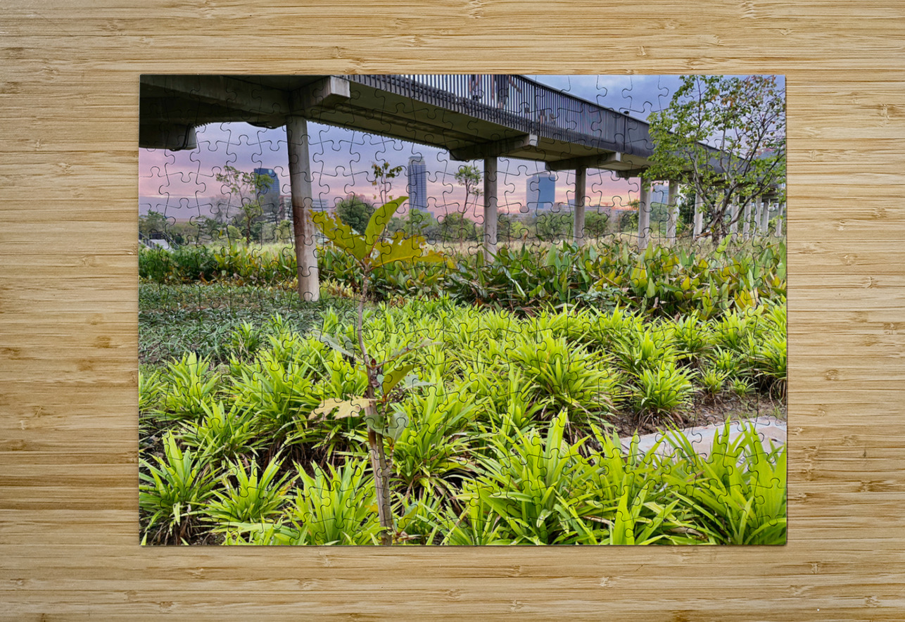 City Under the Bridge Jimmy Roy Photos Puzzle printing
