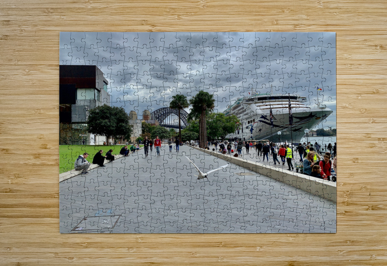 Fly for the Cruise Jimmy Roy Photos Puzzle printing