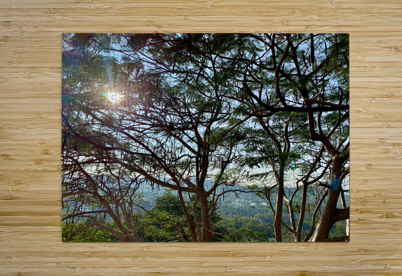 Sun Through the Tree Jimmy Roy Photos Puzzle printing