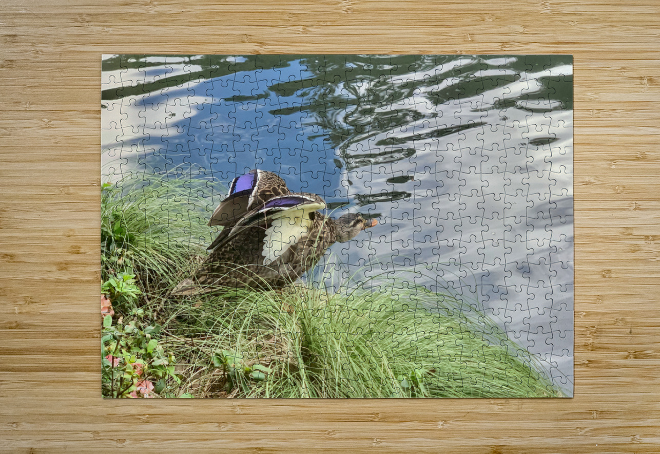 Duck Ready to Fly Jimmy Roy Photos Puzzle printing
