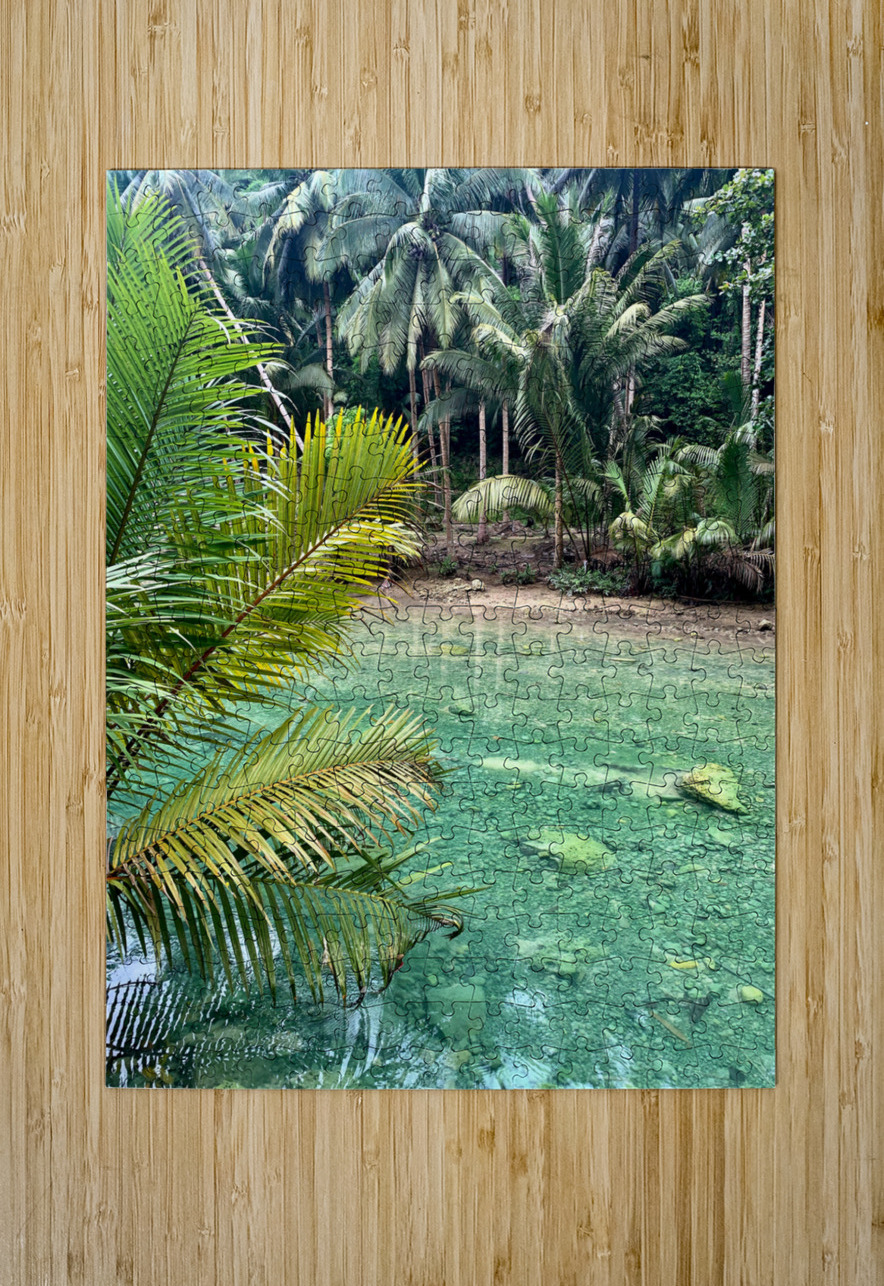 Blue Water in the Jungle Jimmy Roy Photos Puzzle printing