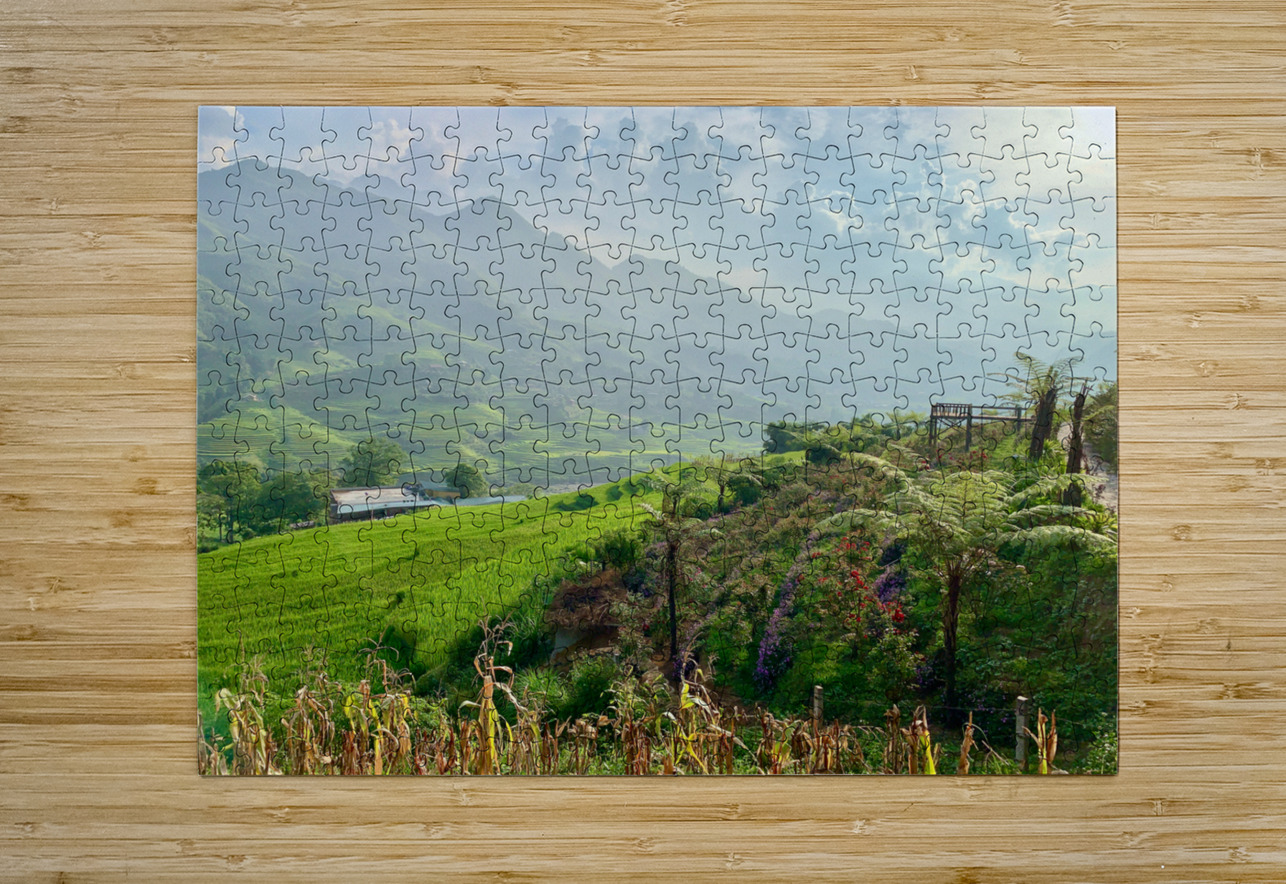 Dreamy Sunset on the Rice Fields Jimmy Roy Photos Puzzle printing