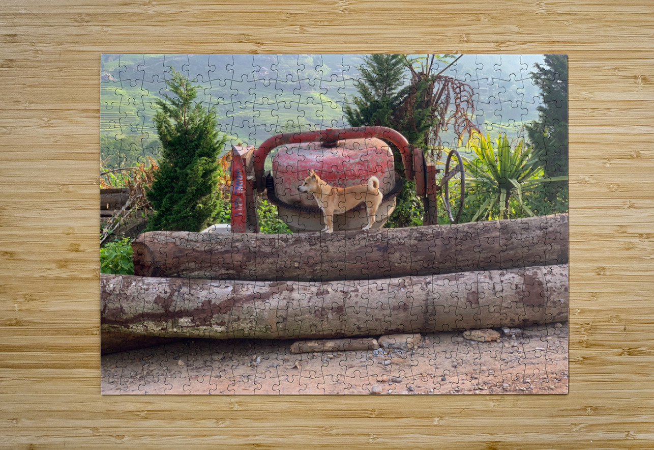 Dog Standing on Wood Jimmy Roy Photos Puzzle printing