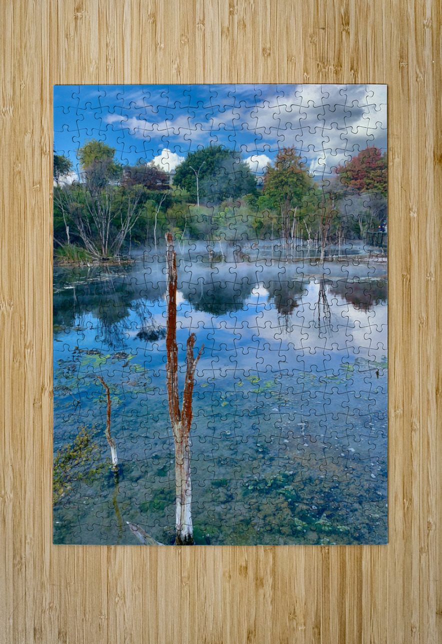 Mysterious Reflection Jimmy Roy Photos Puzzle printing