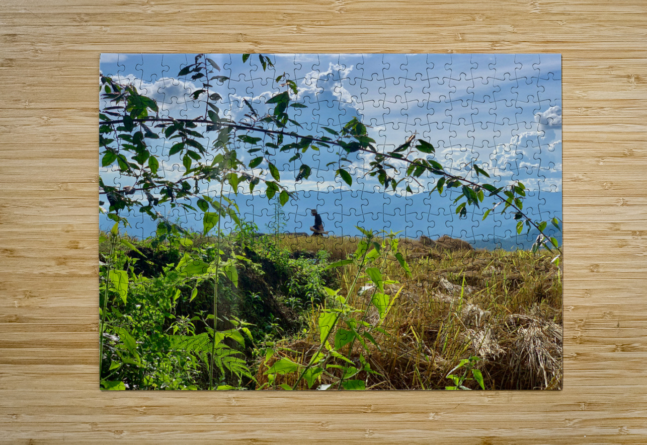 Working the Rice Fields Jimmy Roy Photos Puzzle printing