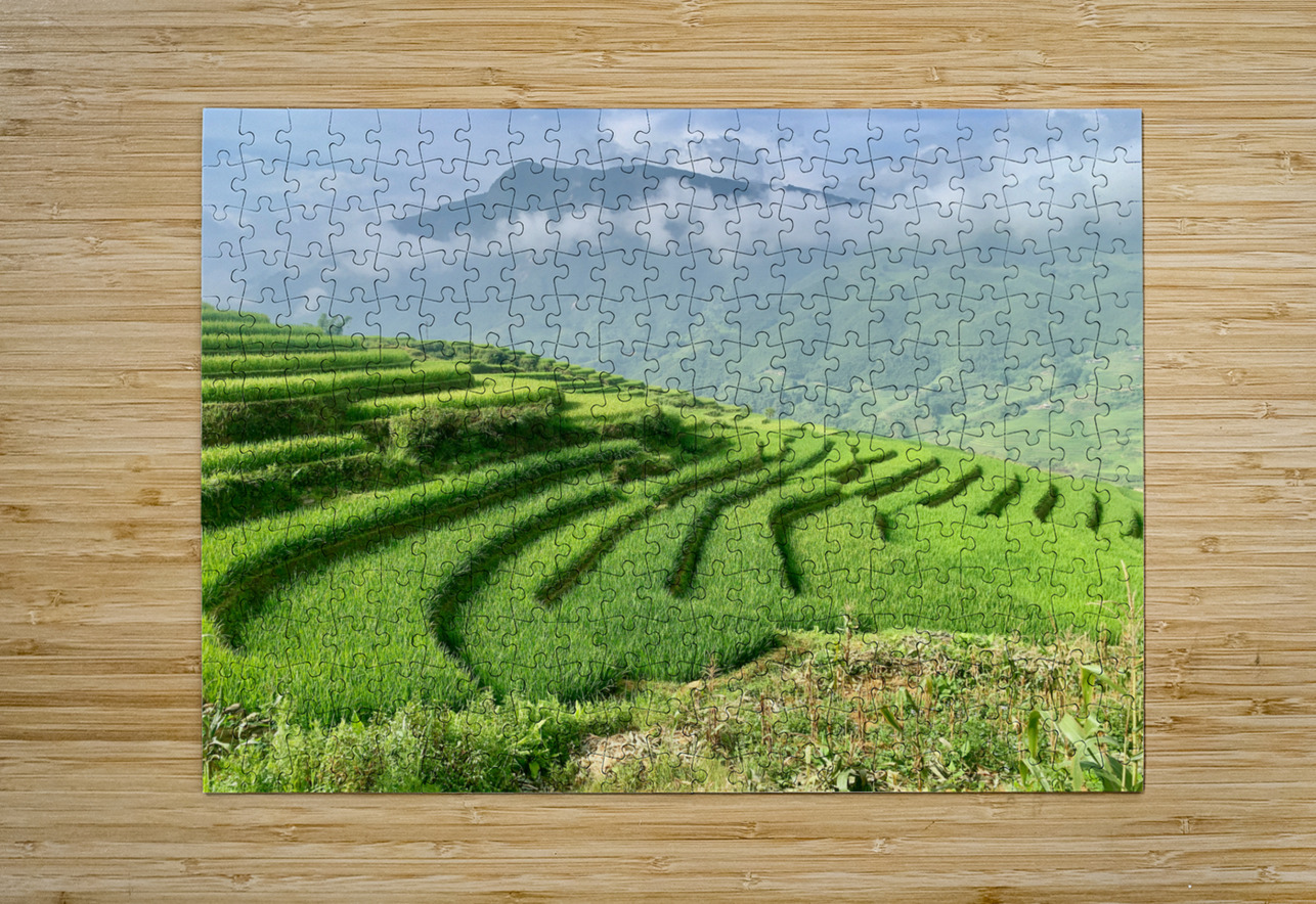 Rice Fields Going Down Jimmy Roy Photos Puzzle printing