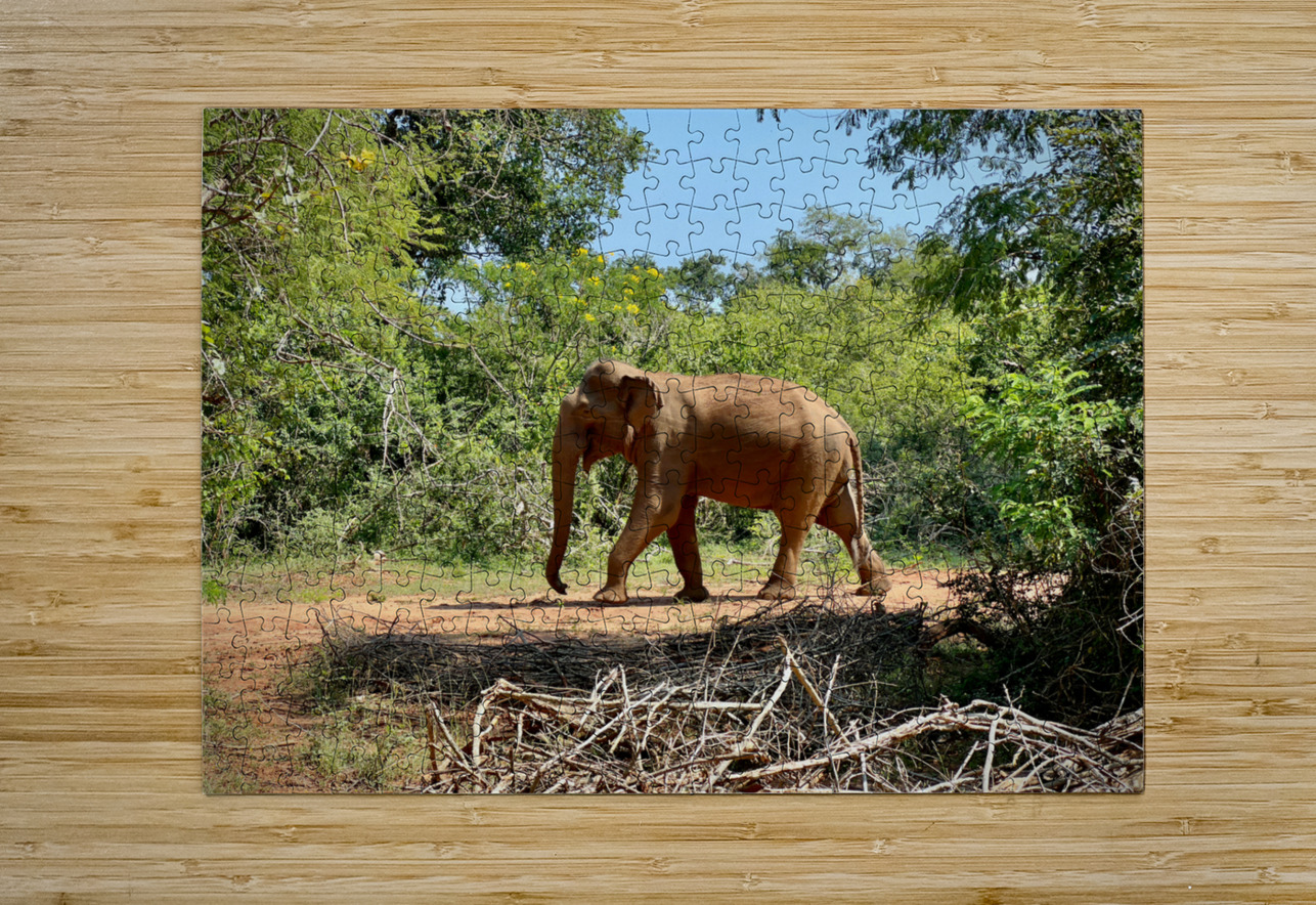 Elephant in the Wild Jimmy Roy Photos Puzzle printing