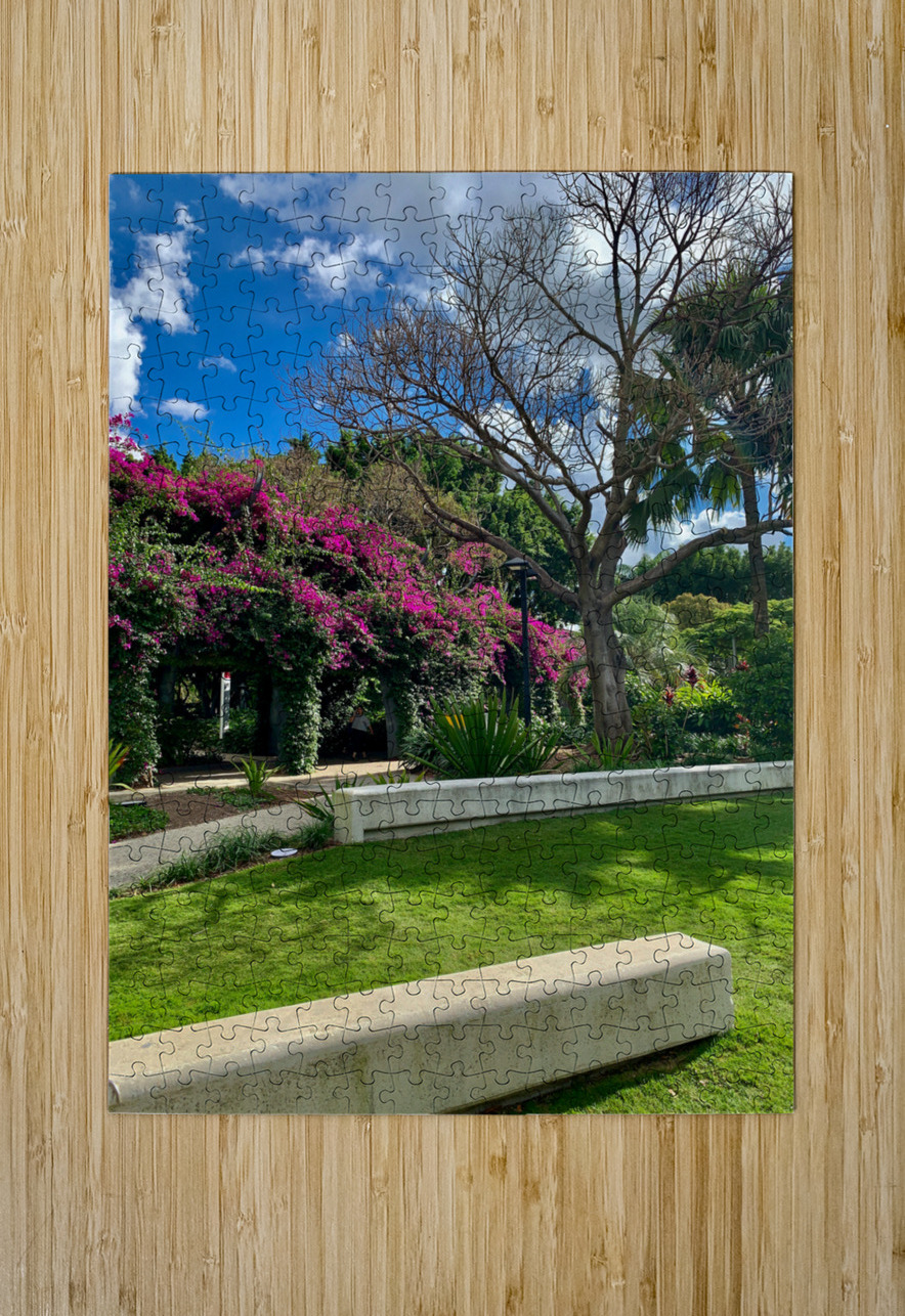 At the Park in Brisbane Jimmy Roy Photos Puzzle printing