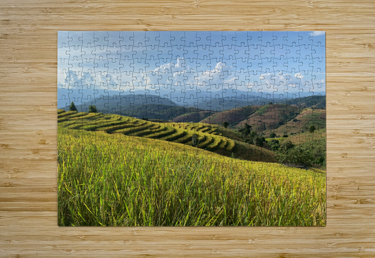 Beautiful Rice Field Jimmy Roy Photos Puzzle printing