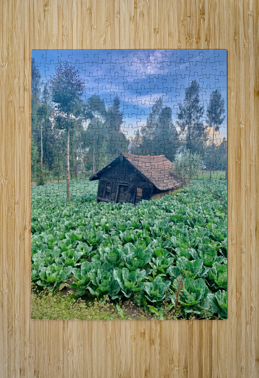 Little Cabbage House Jimmy Roy Photos Puzzle printing